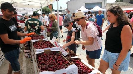 Puestos, actividades y ambiente en Milagro este domingo, 14 de junio, con motivo de la 25 Fiesta de la Cereza