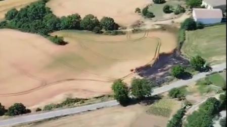 Campo de cereal que ha ardido en Goñi