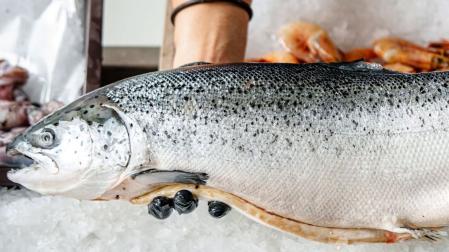 Un pescado en una pescadería