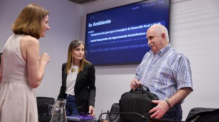 Irene Royo (PP), a la izda., charla con José María Aierdi y Ana Bretaña antes de la comparecencia en el Parlamento