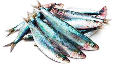Imagen de unas sardinas