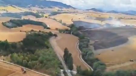 Parte de los campos de cereal afectados por el fuego en Lizoain