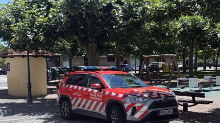 Policía Foral