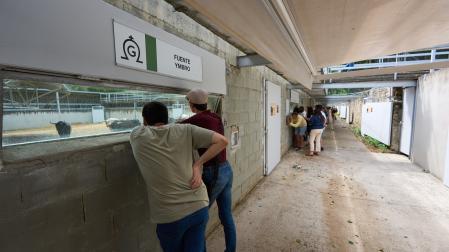 Los Corrales del Gas abrieron sus puertas a las visitas del público el 1 de julio