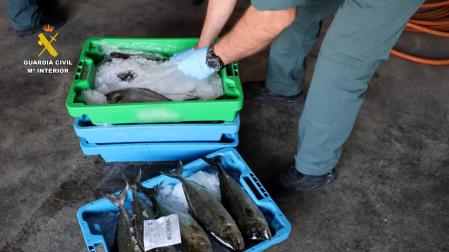 Parte del pescado requisado