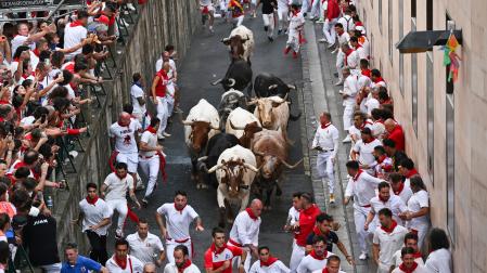 *Un cabestro de imponente figura abre la carrera en la cuesta de Santo Domingo.