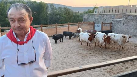 Adrián Quiles, este 8 de julio con los corralillos de Santo Domingo, con la torada de Cebada Gago, detrás.