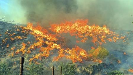 Fotos del incendio forestal de Los Gallardos, en Almería