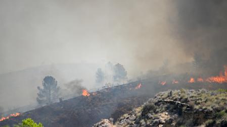 Fotos del incendio forestal de Los Gallardos, en Almería