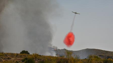 Fotos del incendio forestal de Los Gallardos, en Almería