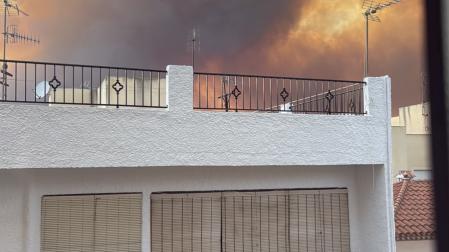 Fotos del incendio forestal de Los Gallardos, en Almería