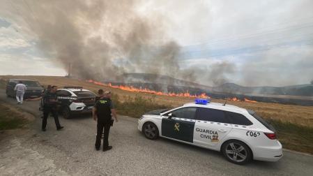 Efectivos de la Guardia Civil, en el lugar del incendio en un campo detrás de Sarriguren.