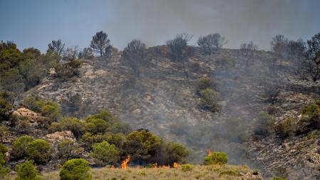 La superficie afectada por el incendio forestal originado en Los Gallardos (Almería) es, de momento, de 6.600 hectáreas