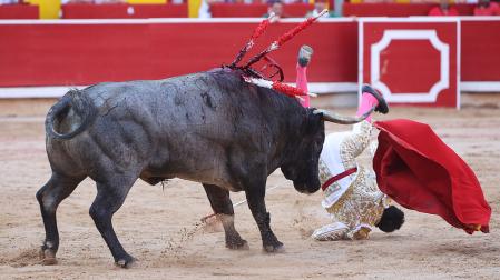 Duro revolcón que propinó el quinto toro de la tarde al diestro colombiano Juan de Castilla