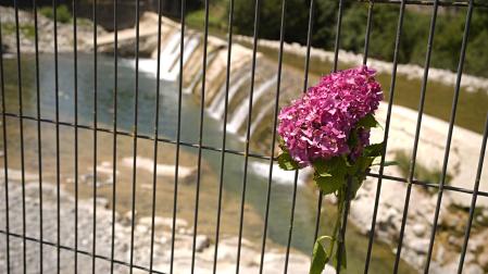 Flores en la presa de Roncal en el río Esca donde se produjeron los ahogamientos