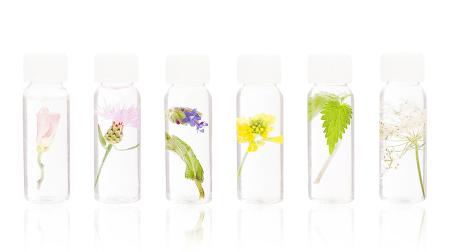 Las plantas medicinales llegan a la Casa de la Juventud en un taller