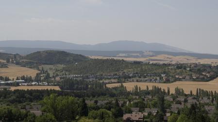 Vista de la zona que se limpiará con la introducción de ganado domesticado