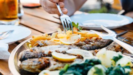 Factores como el calor, la humedad, la lluvia o el viento favorecen la proliferación de microorganismos como Salmonella, Campylobacter y Escherichia coli