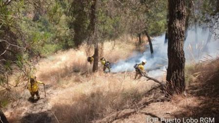 Imagen de efectivos de bomberos forestales trabajando en el incendio registrado hace unos días en el Sacromonte