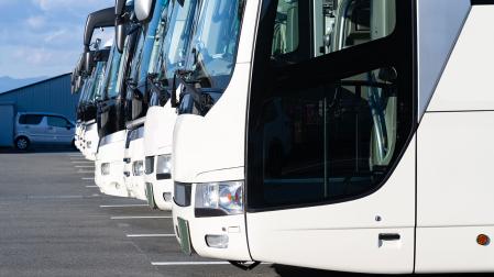 Varios autobuses
