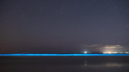 Vista del Mar de Ardora en la playa de Carnota, a 7 de agosto de 2024, en Carnota, A Coruña