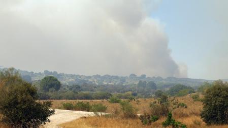 Incendios Madrid