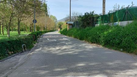 Camino de Caparroso