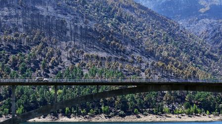 Paisaje quemado en el Parque Natural del Valle de Iruelas arrasado por el incendio de Burgohondo (Ávila)