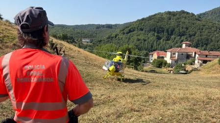 El herido tras caer de un árbol en Arrarats ha sido trasladado en helicóptero al Hospital Universitario de Navarra
