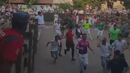 Vídeo de la manada pasando por encima de unos mozos caídos al comienzo de la bajada al callejón en el quinto encierro de fiestas de Tudela 2026