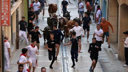 Foto del primer encierro de las fiestas de Estella 2026