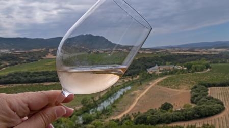 El paisaje de una zona de Estella visto a través de una copa de vino