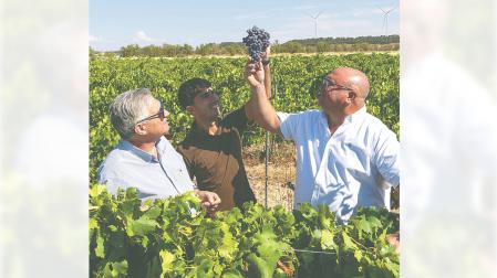 Por la izquierda, Serafín Vicente Martínez (presidente bodega cirbonera), Israel Garbayo Sesma (miembro de la junta directiva) y Óscar Basarte Martínez (vicepresidente), en un viñedo de Corella