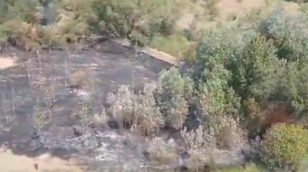 Extinguido un incendio de vegetación en una zona de maleza y chopos en Soto del Sequero