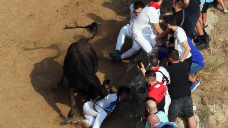 Fotos del primer encierro del Pilón de Falces 2026