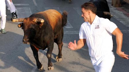 Fotos del segundo encierro de fiestas de Tafalla 2026