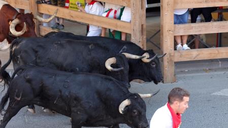 Fotos del tercer encierro de fiestas de Tafalla