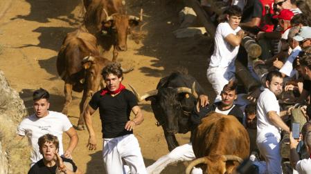 Fotos del segundo encierro del Pilón de Falces 2026