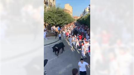 Vídeo del tercer encierro de las fiestas de Tafalla