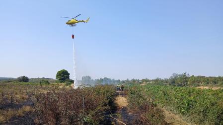 Bomberos del parque de Sangüesa han extinguido el fuego