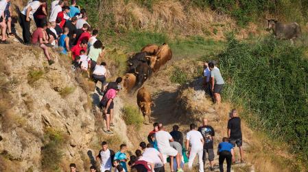 Fotos del tercer encierro del Pilón en Falces 2026