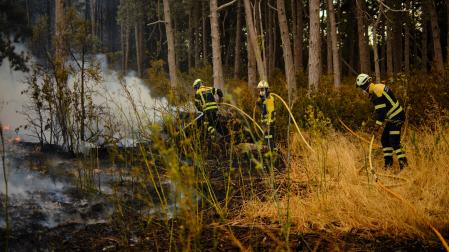Incendio provocado por un turismo en la Autopista de Navarra