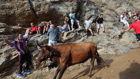 Fotos del sexto encierro del Pilón de Falces 2026