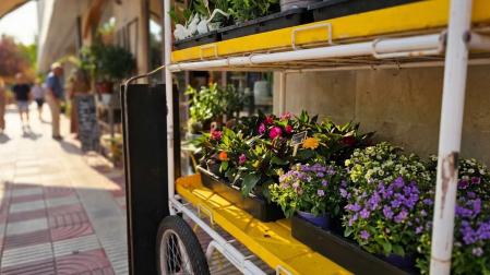 Flores en el exterior de la floristería Núñez