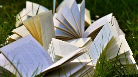 Los libros, una mirada abierta al mundo