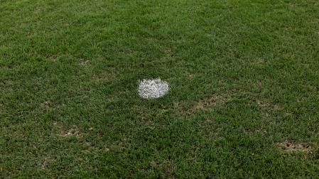 Imagen del punto de penalti de El Sadar, con zonas sin hierba alrededor