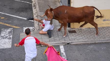 A: MIGUEL OSÉS F: 28–8-2026 P: L: PAMPLONA T: VACAS EN NOAIN