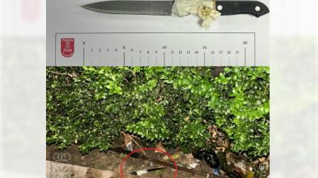 Cuchillo con el que el detenido profirió las amenazas y el lugar donde fue arrojado