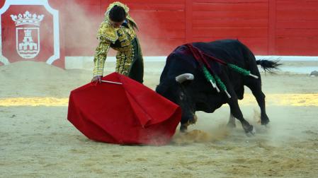 Toros de José Cruz para los diestros Cristian González, Nacho Torrejón y Mario Vilau en la novillada del 3 de septiembre de 2026 durante las fiestas de la localidad