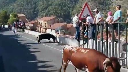 encierro ayna albacete